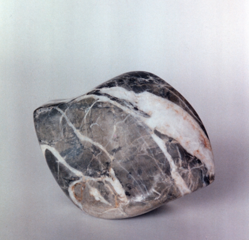 KLEINER FISCH      1993            Calcare di Portovenere       lungh.12cm